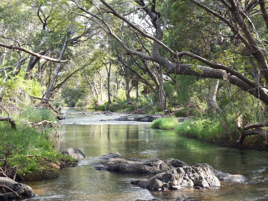 Blyde River Cabins Hoedspruit Eksteriør billede